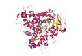 Structure of human cytochrome P450 CYP2C9 with heme and warfarin bound Royalty Free Stock Photo