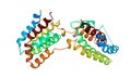 Structure of human interleukin-10 homodimer