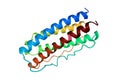 Structure of human interleukin-11