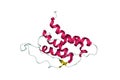 Structure of human interleukin-21