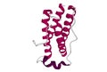 Structure of the human obesity protein, leptin