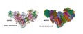 Structure of human respiratory complex I