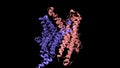 Structure of the human transmembrane protein 175 TMEM175, an endolysosomal potassium channel, in open-closed state