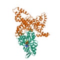 Structure of human vitamin D-binding protein brown in complex with skeletal actin green and ATP molecule