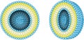 Structure of liposome