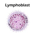The structure of the lymphocyte. Lymphocytes blood cell. White blood cell immunity. Leukocyte. Infographics. Vector