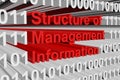 Structure of Management Information