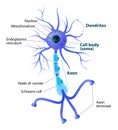 De neurona 