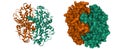 Structure of native human manganese superoxide dismutase Royalty Free Stock Photo