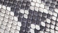 Structure natural snake skin pattern. Piton skin background. Python skin texture background. The texture of genuine leather snake Royalty Free Stock Photo