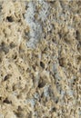 Structure of a natural stone