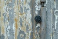 The structure of the old tree. The paint is climbing off the wall. Old paint. The structure of the old paint. Old vintage door