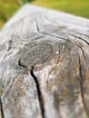 Structure of an old white wooden logs Royalty Free Stock Photo