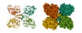 Structure of phenylalanine hydroxylase tetramer