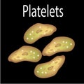 The structure of platelets. Platelets are a blood cell. Infographics. Vector illustration on isolated background. Royalty Free Stock Photo