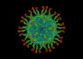 Structure of polio virus