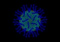 Structure of polio virus