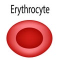 The structure of the red blood cell. Erythrocyte blood cell. The structure of the erythrocyte. Infographics. Vector Royalty Free Stock Photo