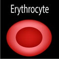 The structure of the red blood cell. Erythrocyte blood cell. The structure of the erythrocyte. Infographics. Vector Royalty Free Stock Photo
