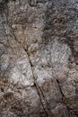 Structure of rockface Royalty Free Stock Photo