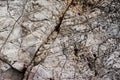 Structure of rockface Royalty Free Stock Photo