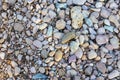 the structure of the rocky bottom of a dried-up riverbed in the summer