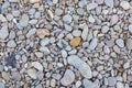 the structure of the rocky bottom of a dried-up riverbed in the summer