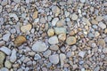 the structure of the rocky bottom of a dried-up riverbed in the summer