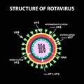 The structure of rotavirus. Infographics. Vector illustration on black background.
