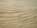 Structure. Sheet of plywood Royalty Free Stock Photo