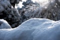 The Structure of Snow Royalty Free Stock Photo