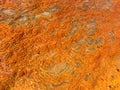 Structure of surface around orange mineral pool of natural water spring in Damia, Morocco, Africa