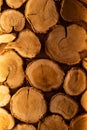 Structure of a tree in a section. Close-up. Side light accentuates the texture. warm yellow light in the sauna