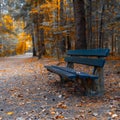 Structure wood forest tree old rotten autumn bench park walk colors Royalty Free Stock Photo