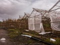 Structure wood greenhouse in farm.