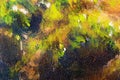 Structure of wooden log covered with moss, closeup painting detail.