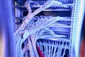 Structured network cabling infrastructure in server room Royalty Free Stock Photo