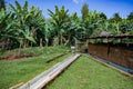 Structures Exterior For Coffee Farm Beans Sorting In Kenya East Africa