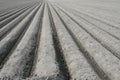 Land art and typical Dutch polder landscape with plowed fields, Noordoostpolder, Netherlands