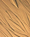 Structures in sand formed by heavy rain