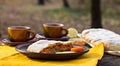 Strudel with apples, pumpkin, apricots, lemon. Royalty Free Stock Photo