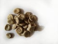 Strychnos nux vomica or poison nut seeds. It is also called Kuchala,Zahra, Kajra etc. Royalty Free Stock Photo