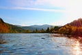 Stryi River in the Carpathians. Royalty Free Stock Photo