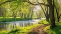 strypa forest lake and green blooming trees morning scene adorable view