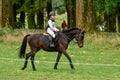 Strzegom October Festival, Morawa, Poland - October, 17, 2021: Polish competitor Alicja Giersok on horse Fear Draiochta is