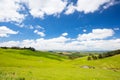 Strzelecki Ranges Landscape