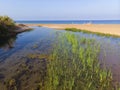 Ãâ¢stuaries of the river Neda at Peloponnesse, Greece Royalty Free Stock Photo