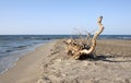 Stub on the beach