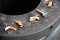 stubbed out cigarette butts Royalty Free Stock Photo