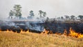 Stubble burning cases in Chhattisgarh, India